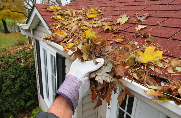 Rain Gutter Cleaning Service in Silver Spring