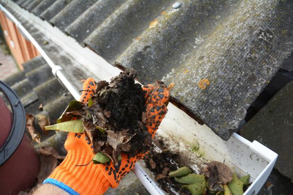 Seamless Gutter Cleaning in Silver Spring