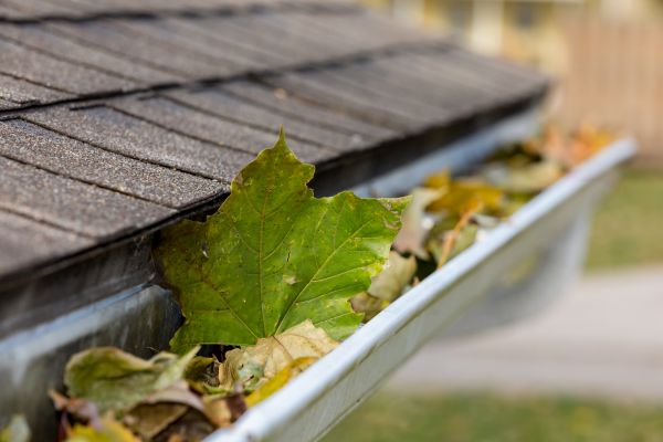 Gutter System Cleaning in Silver Spring