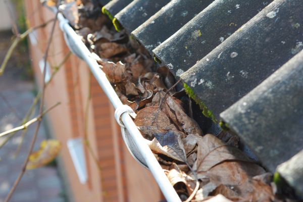 Home Gutter Cleaning in Silver Spring