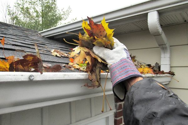 Rain Gutter Clearing in Silver Spring