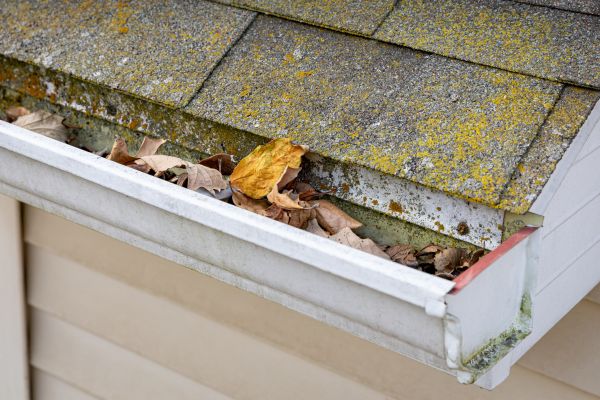 Garage Gutter Cleaning in Silver Spring