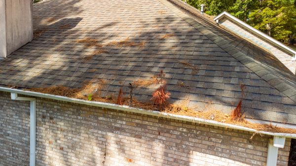 Gutter Pine Needle Removal in Silver Spring