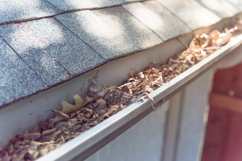 Clogged Gutter Blockage