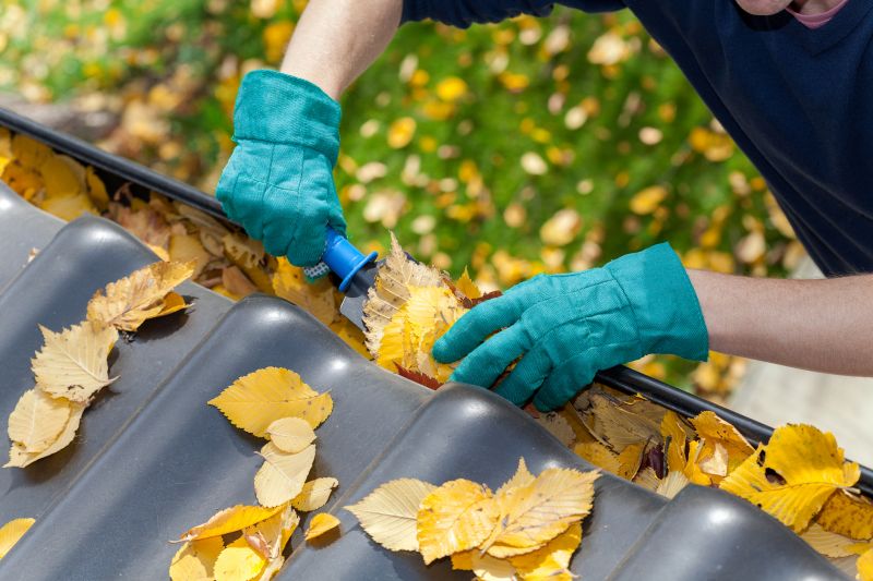 Leaf Gutter Cleaning
